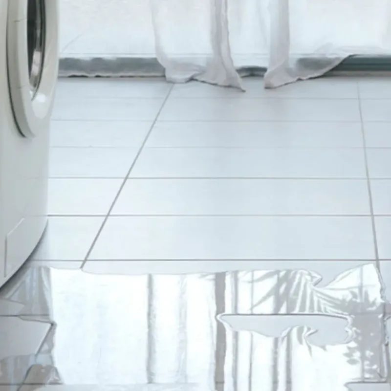 Appliance Leak Cleanup in Bangor, WI