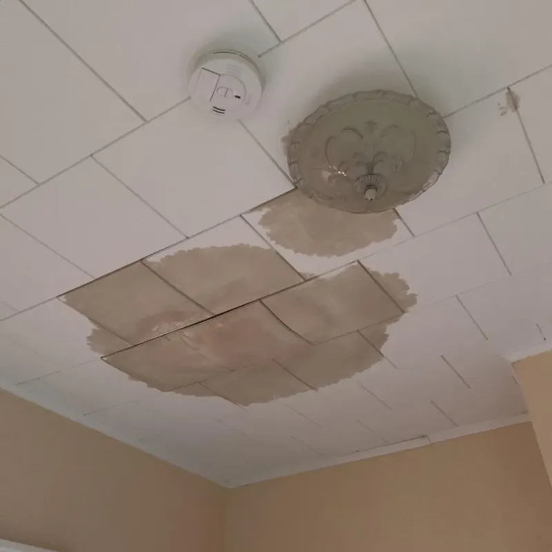 Ceiling Water Damage Repair in Bangor, WI