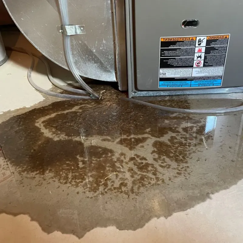 Pipe Burst and Leak Restoration in Bangor, WI